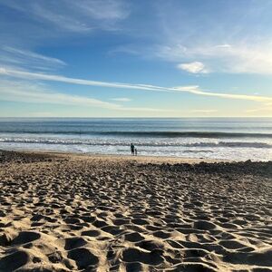 Meet your Posher, Sophie